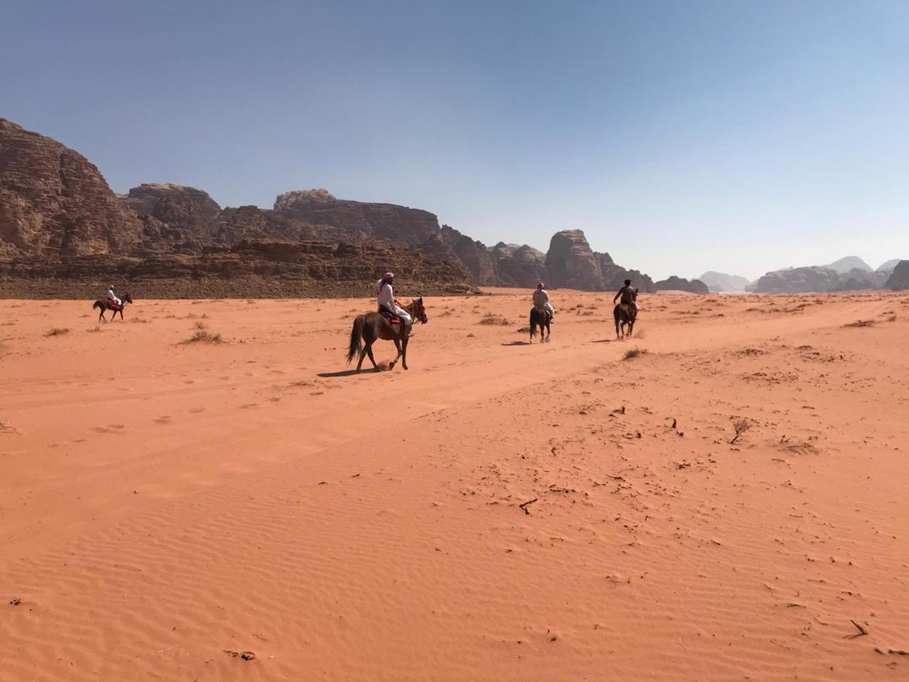 Stars Camp * Wadi Rum